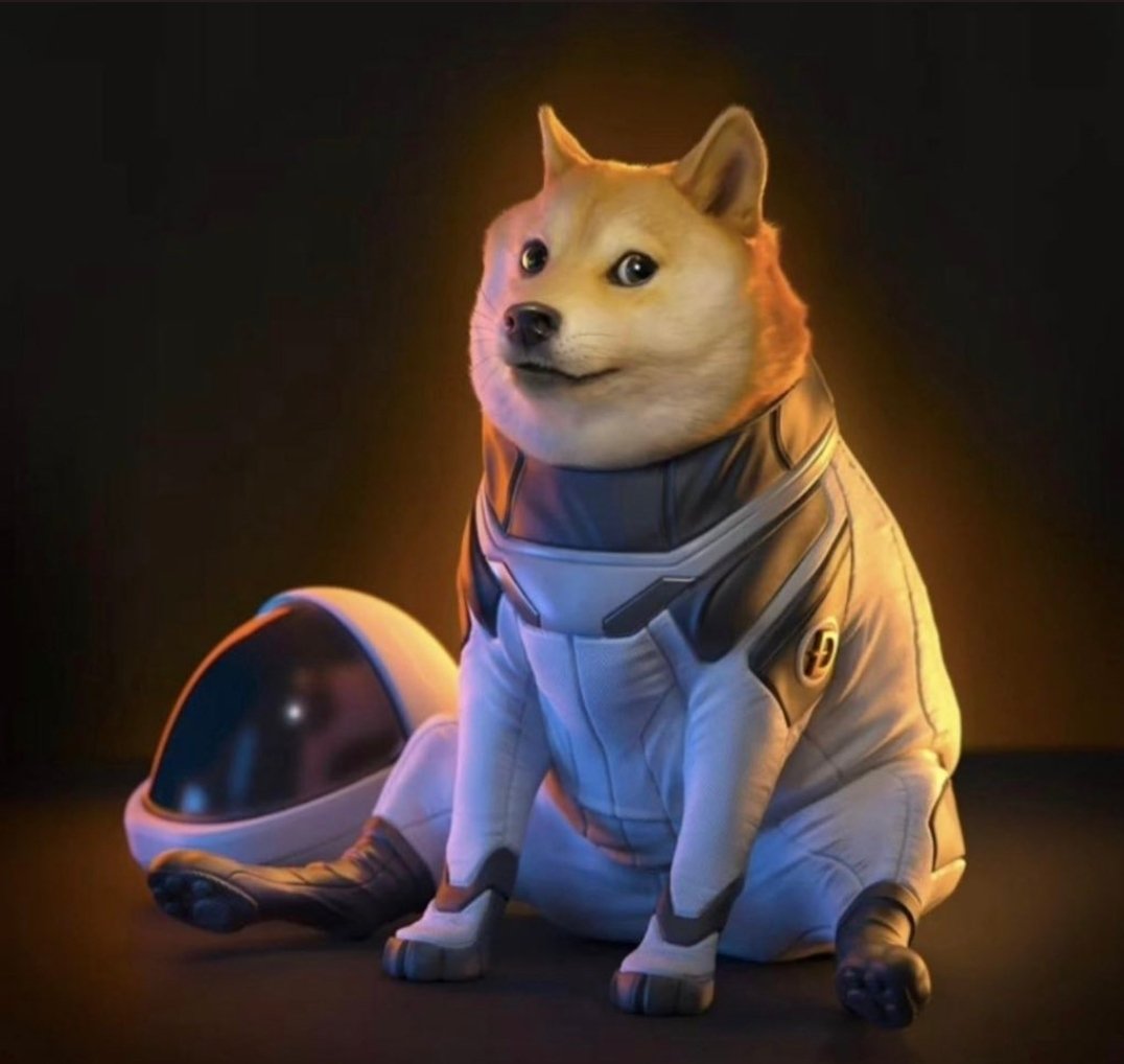 erpankajy's tweet photo. @BillyM2k Dear Sir Please tell me exact date when dogecoin hit $1. #dogecoin @BillyM2k https://t.co/kXsJX6laYc