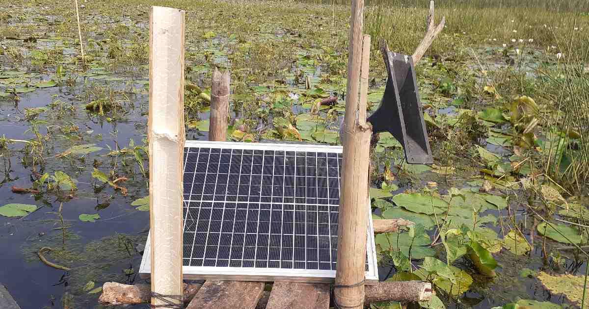 MosrurZunaid's tweet photo. 'Festival of poaching'
Although the poaching of birds is a punishable act, it is going on unabated in Bagerhat under the noses of the local administration .
#Bangladesh #birds #birdpoaching https://t.co/HZeAaN7f9Q