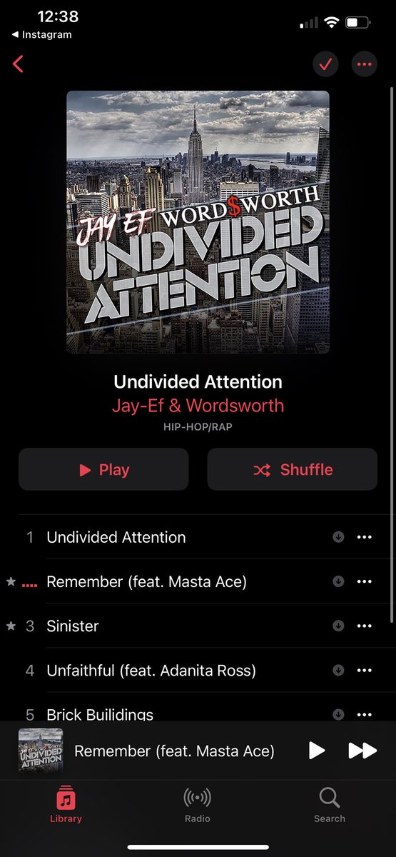 Undivided Attention now out