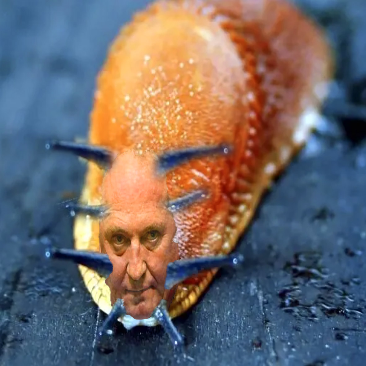 ethicalmartini's tweet image. Sometimes I just feel like being a bit creative.
#JustABitOfFun