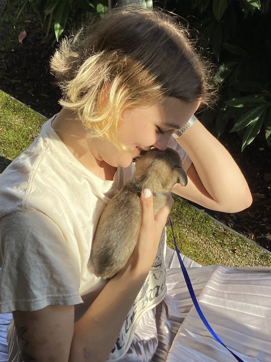 emma 💓 tweet media