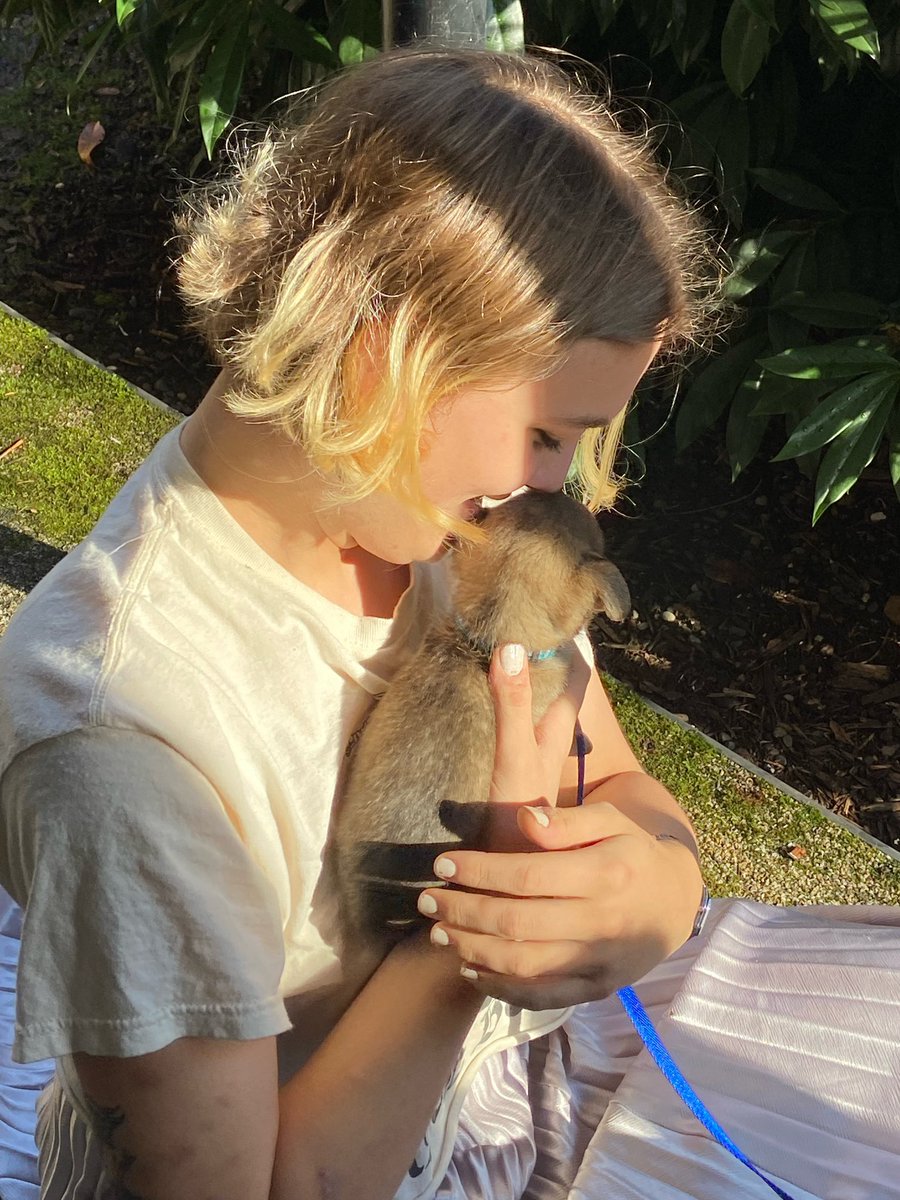 emma 💓 tweet media