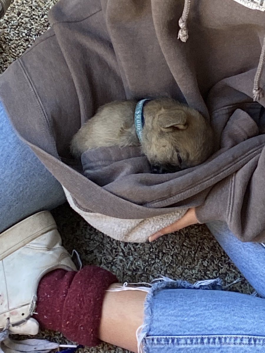 emma 💓 tweet media