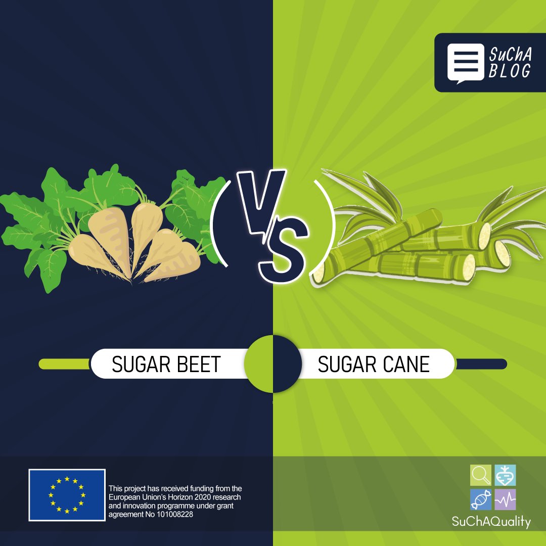 Sugar Beet Vs Sugar Cane