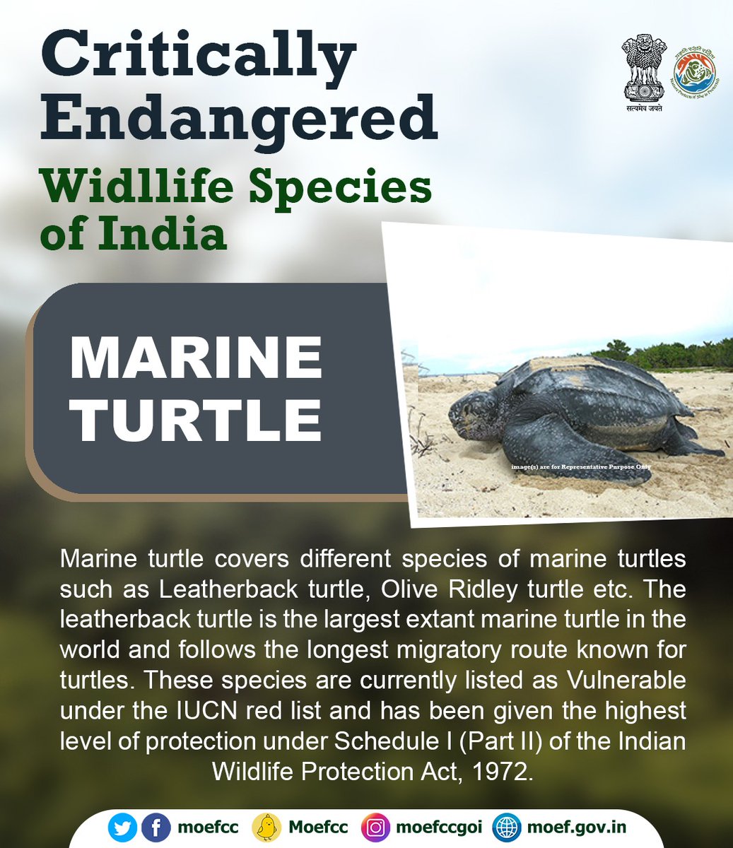 moefcc's tweet photo. #CareWillProtect
#SaveLifeInWild https://t.co/pm966SUw5U
