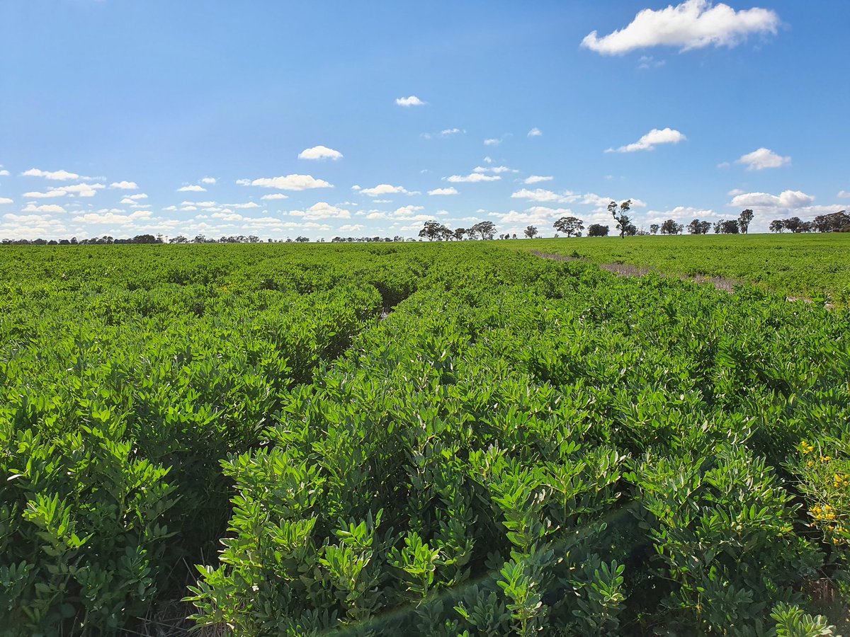 Bridget Close tweet media