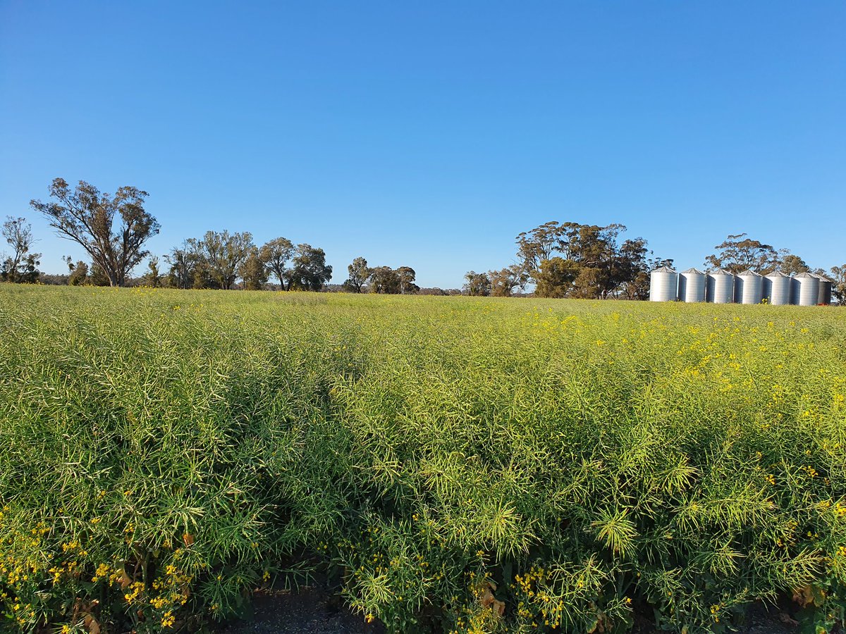 Bridget Close tweet media