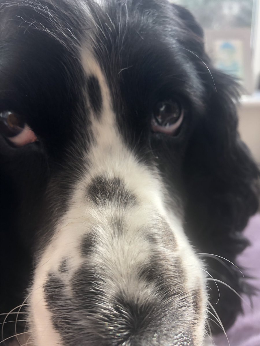 Richard McInnes tweet media