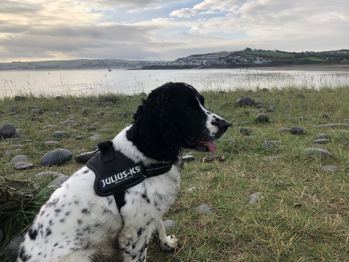 Richard McInnes tweet media