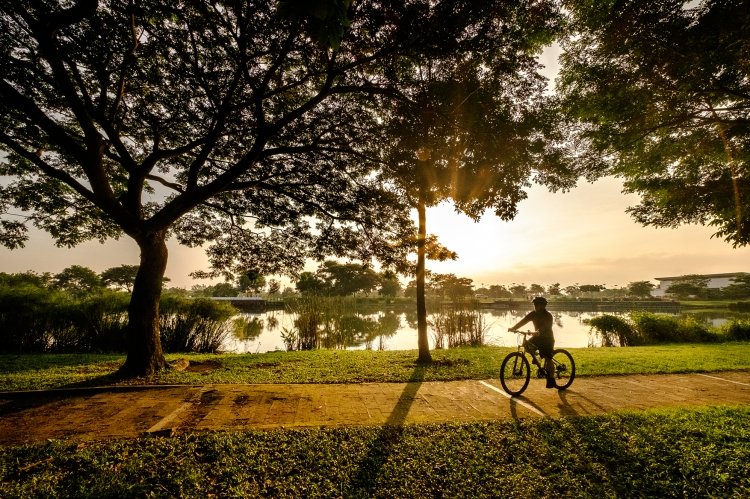 FAOAsiaPacific's tweet photo. Don’t miss the chance to be a part of the 3rd #Asia #Pacific #urbanforestry Meeting @FAO #APUFM 
25-29 Oct 2021 
Lend your ears to technical experts, practitioners, &amp; more
https://t.co/WG62pUznDI
Register 👉 https://t.co/qh98N32721
Virtual Field Trip 👉 https://t.co/CLqaVYhelJ https://t.co/8A145rVHva