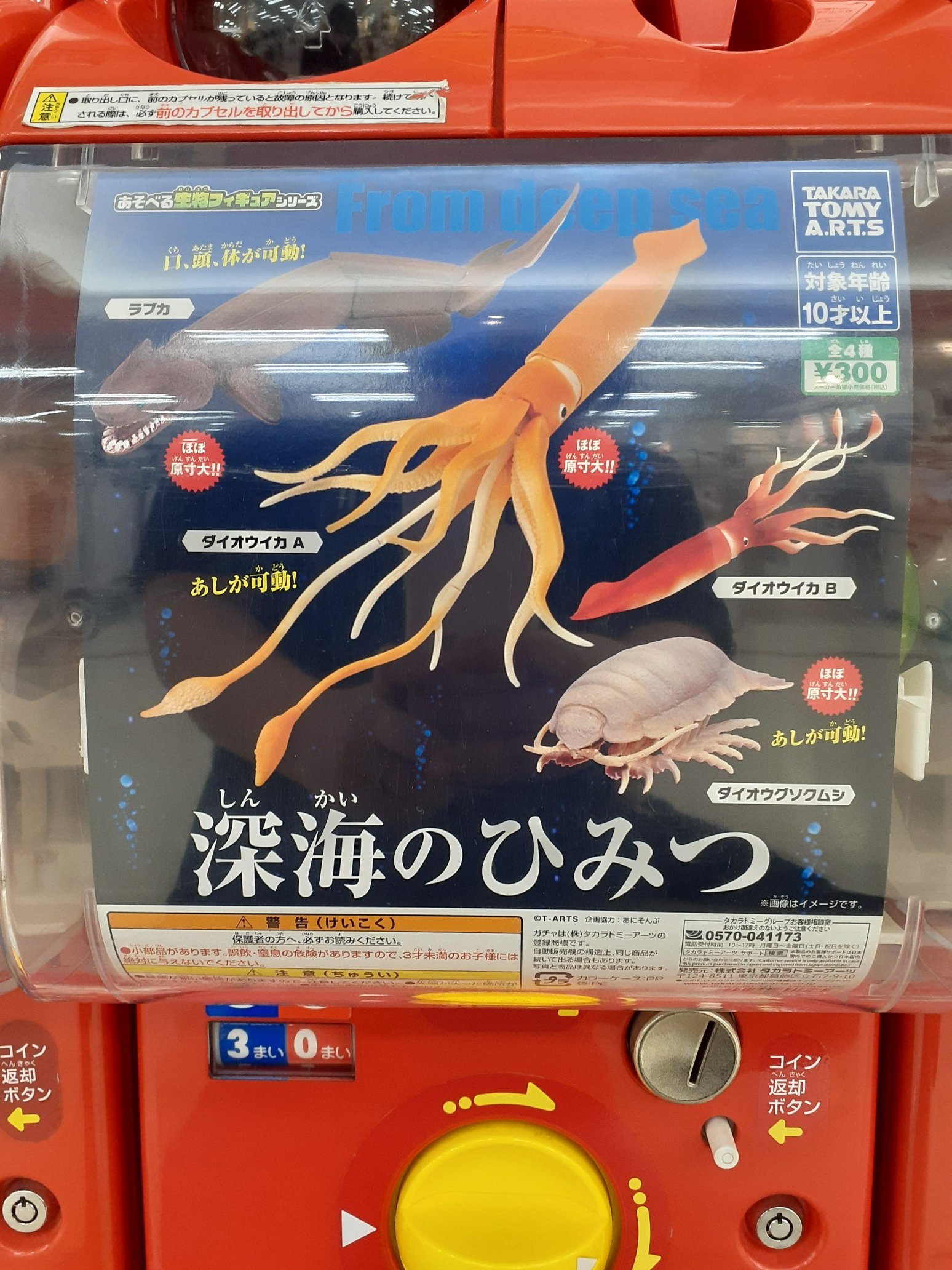原色タコ・イカ図鑑
