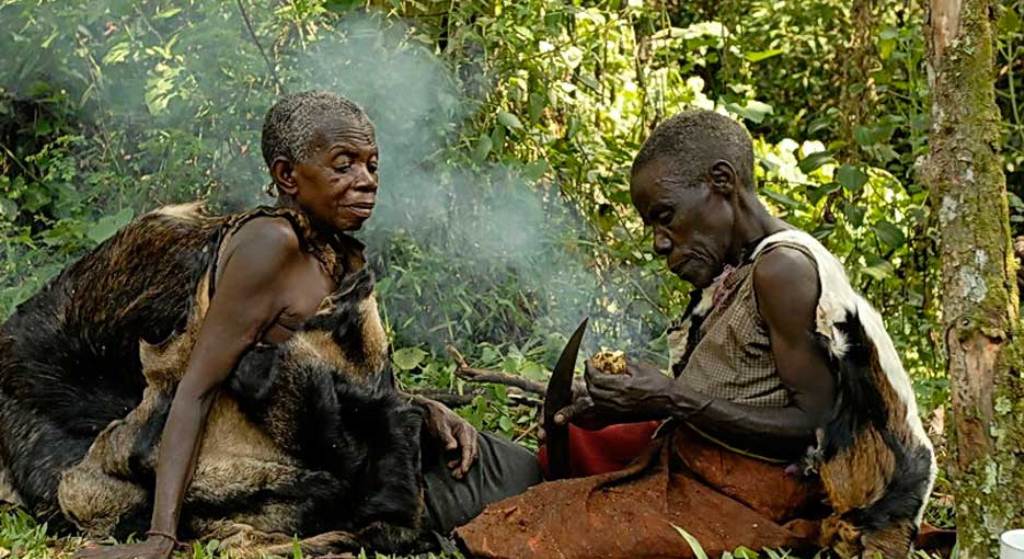 #KnowYourEthnicity 2/3 Thread
The Batwa survived by hunting small game using arrows or nets and gathering plants and fruit in the rain forest. They lived in huts constructed of leaves and branches, moving frequently in search of fresh supplies of food.
