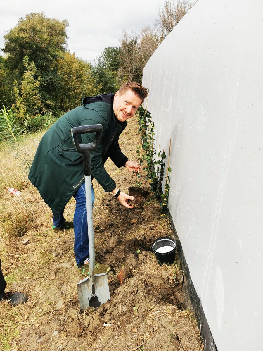 Posadzenie pnączy wzdłuż muru przeciwpowodziowego, to jedno z najnowszych ustaleń, do których doprowadziliśmy w ramach ustaleń kompensacji przyrodniczej nad Wisłą. Własnoręcznie posadziłem kilka z 4 tys. bluszczy. 
#Praga #stopwycince500drzew #dzikastronaWisły #radnyWalkiewicz