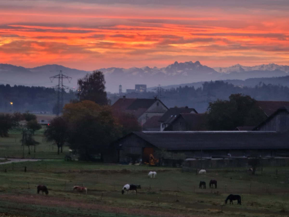 Andrea Rutschmann tweet media