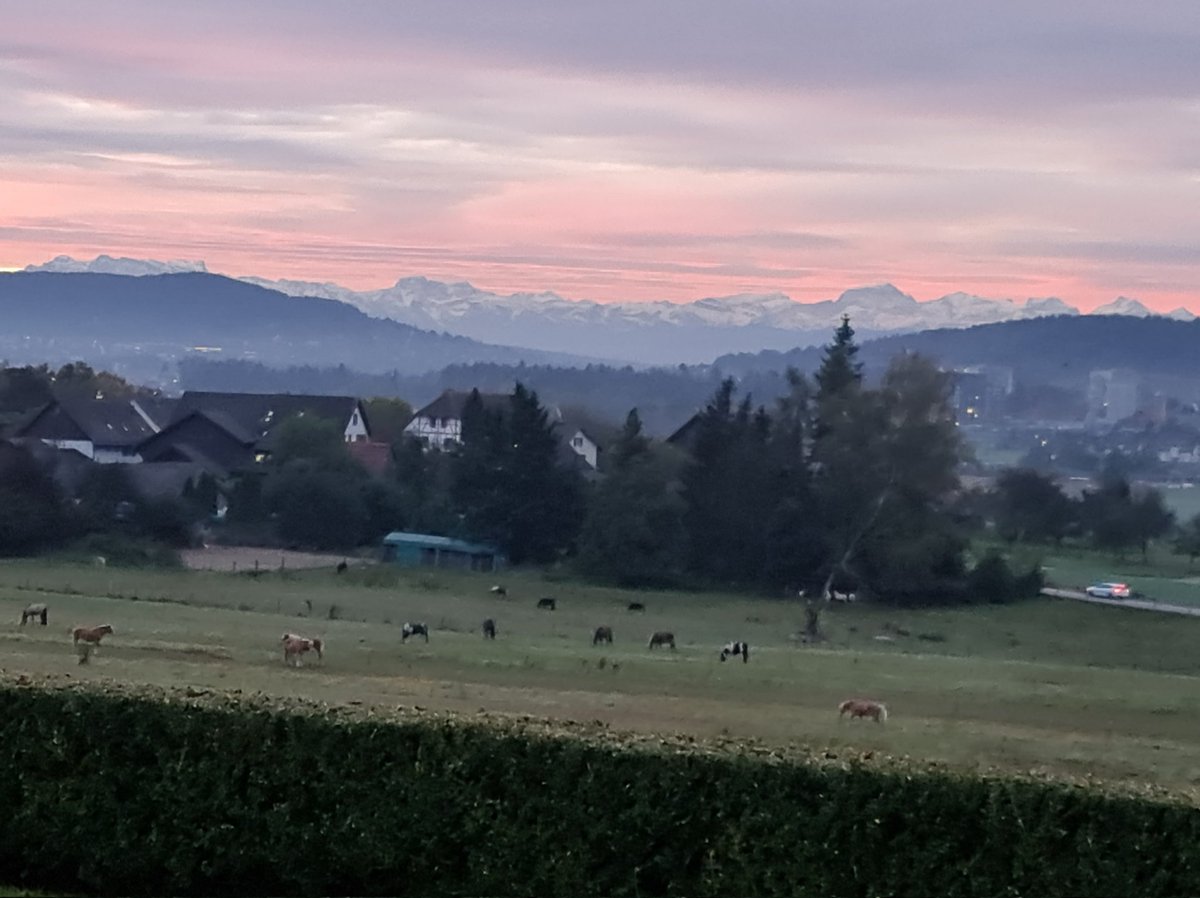 Andrea Rutschmann tweet media