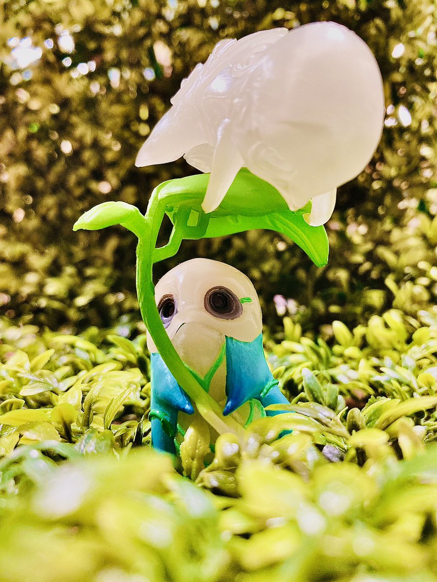 yoshi様　⭕️3月5日まで yun (@chii3oshi_yun) / Posts / X