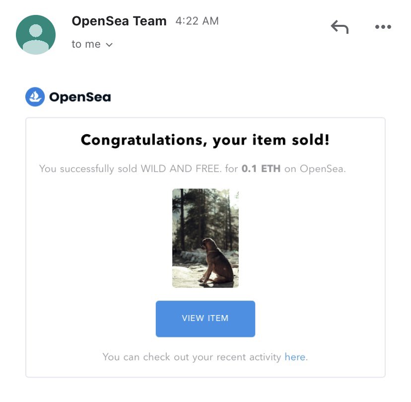 rkdoesnfts's tweet photo. What a way to start the day! @FidelEverywhere just collected 2 of my photographs today. Thanks fidel for the support. But I'm still in pain, my wallet was hacked and i lost my funds worth 800$🙂. If anybody can help me, please help me to recover my funds. https://t.co/RaZpEqaVEd