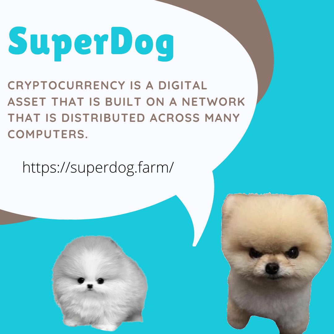 PomSuperdog's tweet photo. Cryptocurrency is a digital asset that is built on a network that is distributed across many computers. Get yours today from https://t.co/Y9mTVa9ZfD
#superdog #POM #cryptocurrency #bitcoin #crypto #blockchain #btc #forex #money #ethereum #trading #bitcoinmining #investment https://t.co/HzUejI7Gqb