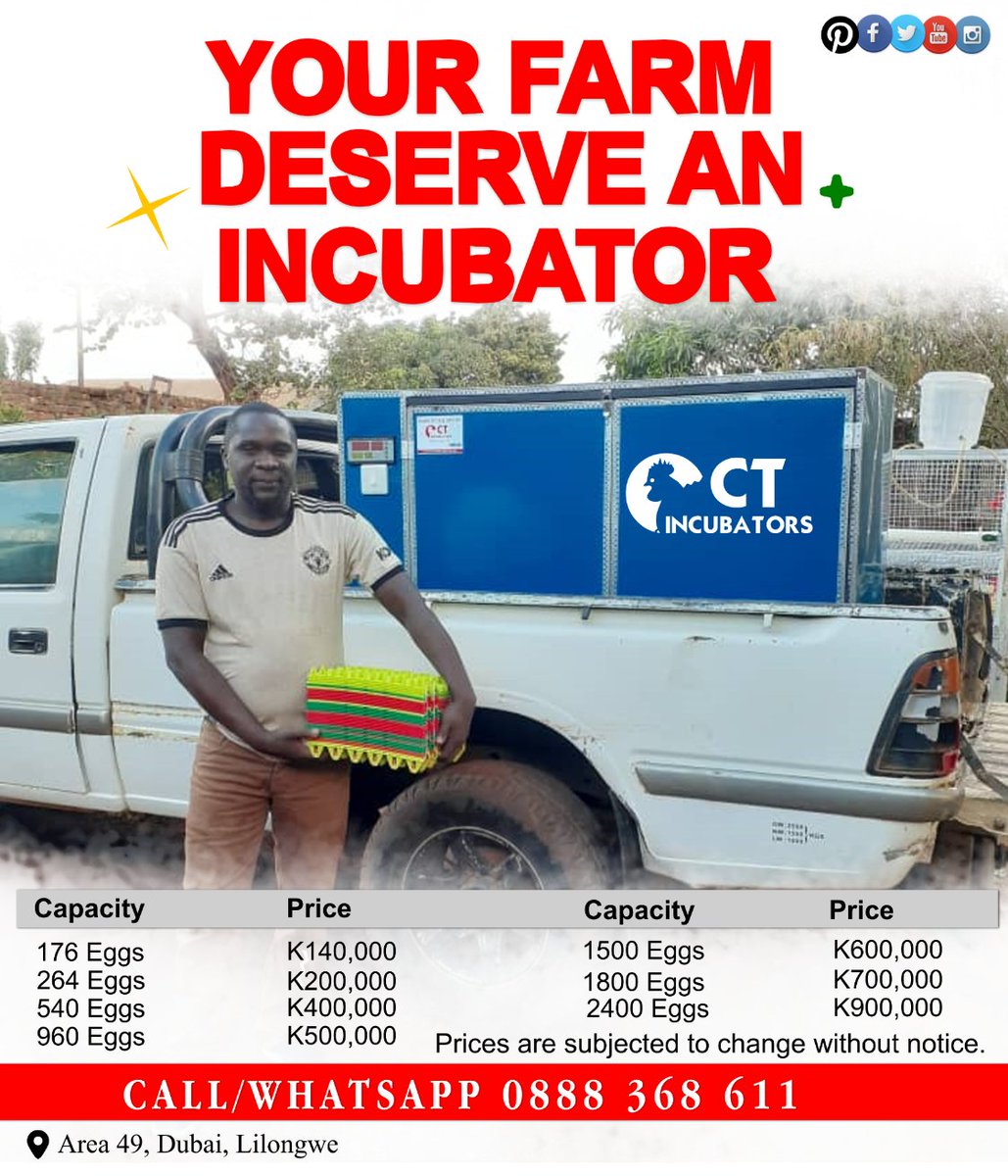 CtIncubators's tweet photo. We manufacture Egg Incubators right here in Malawi.

For orders 
Call/WhatsApp 0888368611

#Malawi #Incubators #Cages #hatching #Chickens #Quails #Business #Eggs #Innovation #entrepreneurship #Lilongwe #africa #technology #Youth  @reekid https://t.co/L4uXFsNNuK
