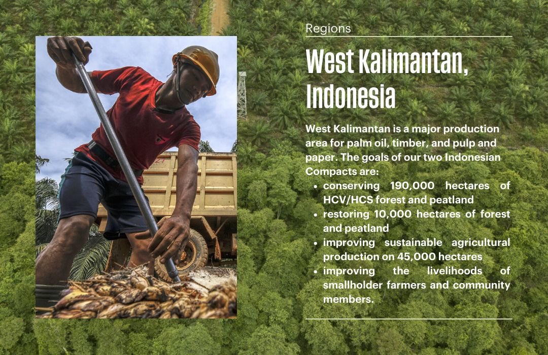 idh_indo's tweet image. Want to find out more? Click here: lnkd.in/ehT-uxHV @SourceUp_ 

#indonesia #sourceup #agriculture #forests #forestconservation