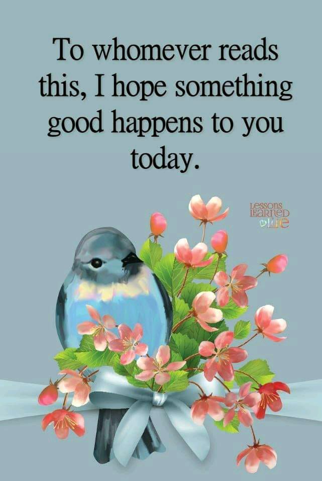 murchie_louise's tweet photo. You know, I came across this last night & I wanted to share it!
So, I hope something good happens to you today! Let me know, aye?
#louisemurchieauthor #goodmorning #tuesday #nowritingformetoday #later #plotbunnyrecharge https://t.co/T0Z1BmFJQP