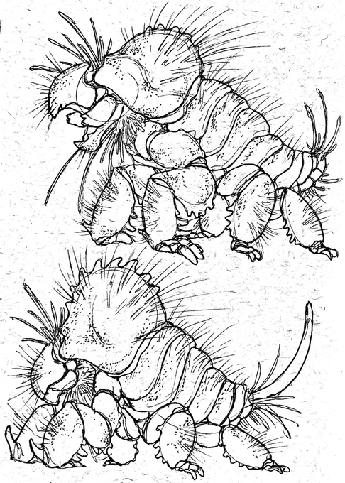 been looking at some speculative bio things recently and wanted to try my hand at a feasable(?) creature! This giant subterranean arthropod is nearly impenetrable and relies entirely on its sensory hairs and whiskers to detect tree roots underground to feed on whole trees 
