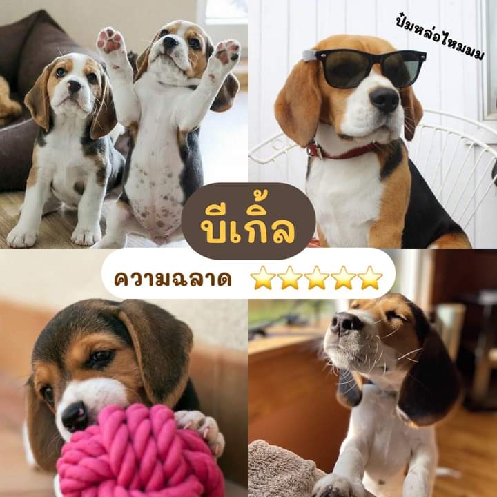 จอนเจเค🕊️ tweet media