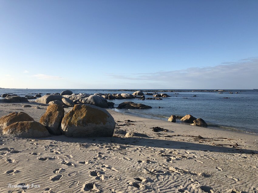 roaming_fox's tweet image. Another scenic shot from St Helena Bay. To me there’s nothing like a walk on the beach breathing in the salty sea air. 
Feeling calm now on this Tuesday morning? #tuesdaymotivations #southafricanmorning #peaceful