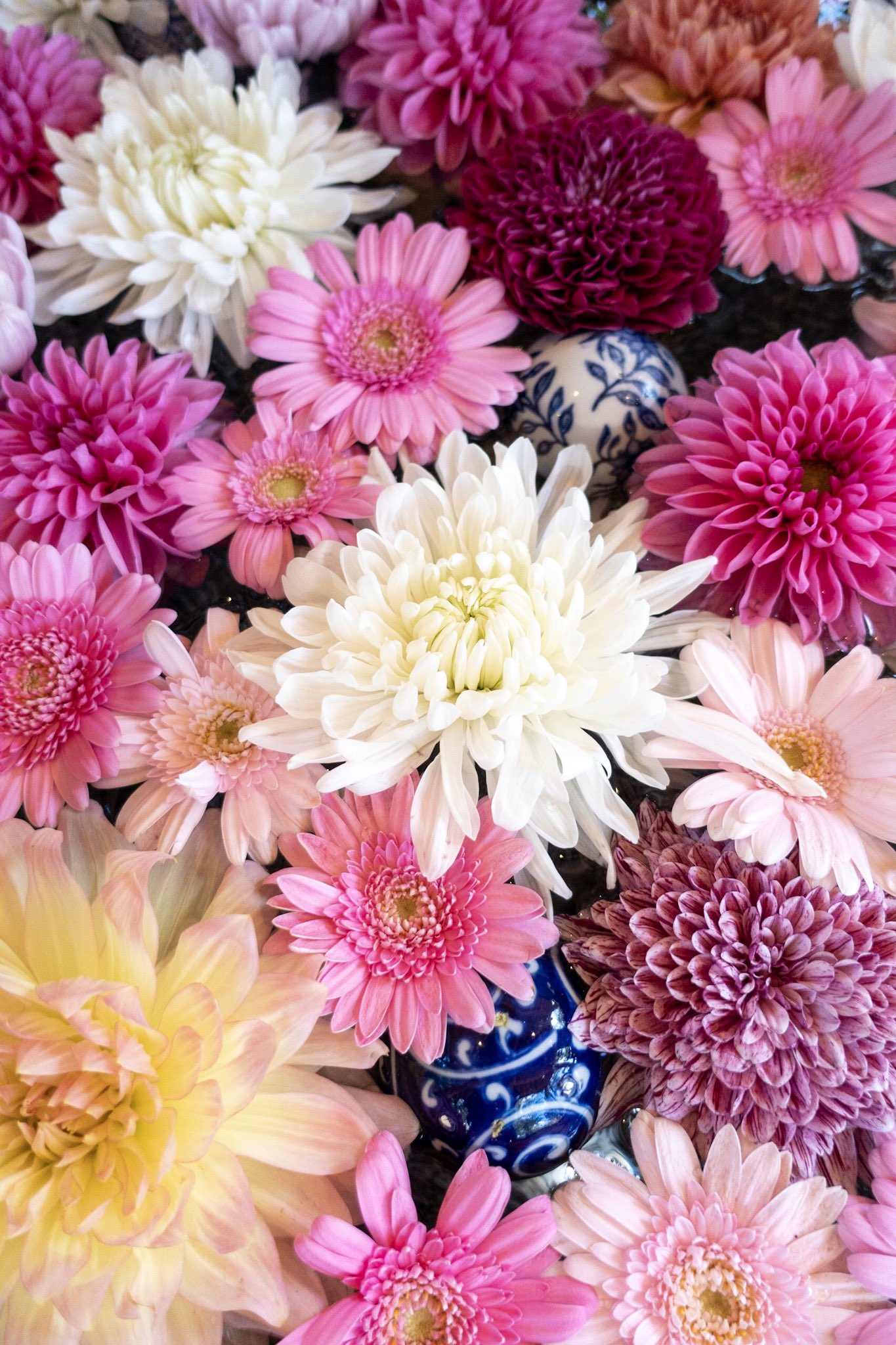 現人神社 花手水のお花入れ替えました 皆さまのご参拝心よりお待ちしております 現人神社への交通アクセス 博多駅から博多南駅 那珂川市 まで８分 博多南駅からバス タクシーで１０分 福岡空港から地下鉄博多駅まで６分
