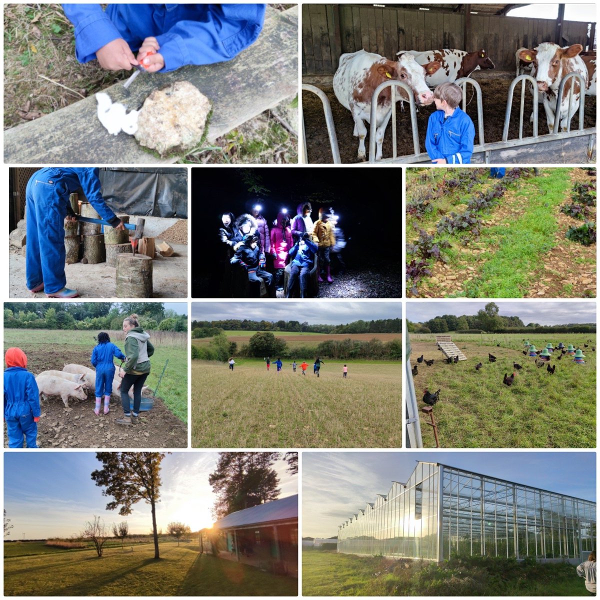 Haydn Bettles tweet media