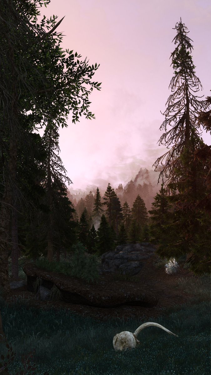 Dark1NovaSkyrim's tweet photo. Her life as a paladin is starting.  I gave her sunfire to start off with as that would fit her already having knowledge of being a paladin. (Sunfire has been modified to do damage to all enemies...because...its fire from the sun...so why not?) https://t.co/YPGbhpQnmZ