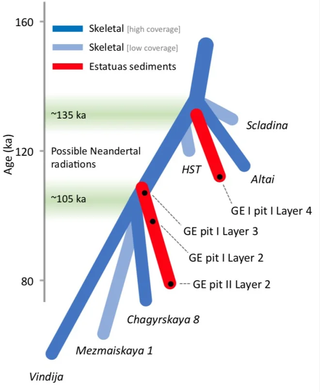 robertosaezm's tweet image. ADN neandertal sin necesidad de fósiles (Esp &amp;amp; Eng) Neandertal DNA with no need for fossils wp.me/p4Bi9E-29l #NutcrackerMan