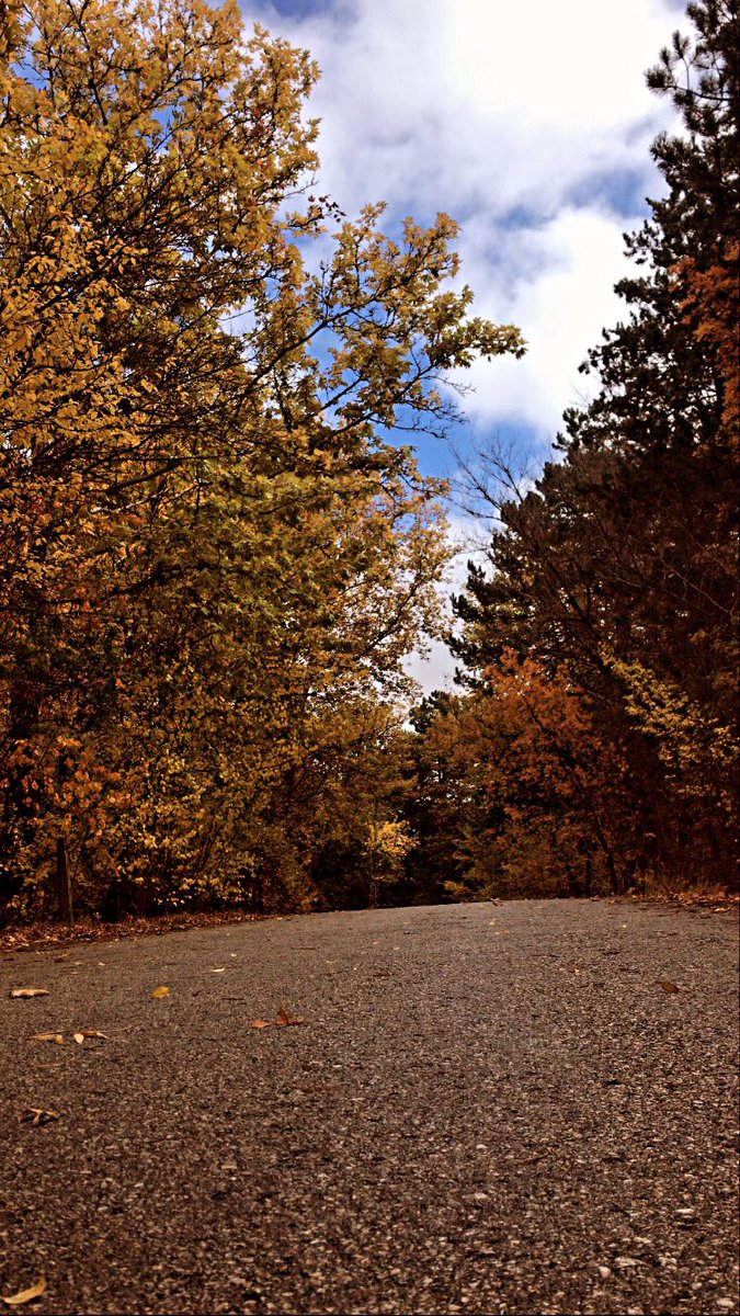 Günaydın bi gün yine 18.051 adım atmışım.