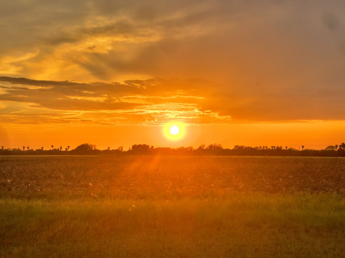 prdz3's tweet photo. And sometimes we are just left to wonder... #sunset #goldenhour #sky #clouds #orange #field #rgv #riograndevalley #reflection #socloseyetsofar #star #raysofthesun #… https://t.co/VOFMEKxhZq