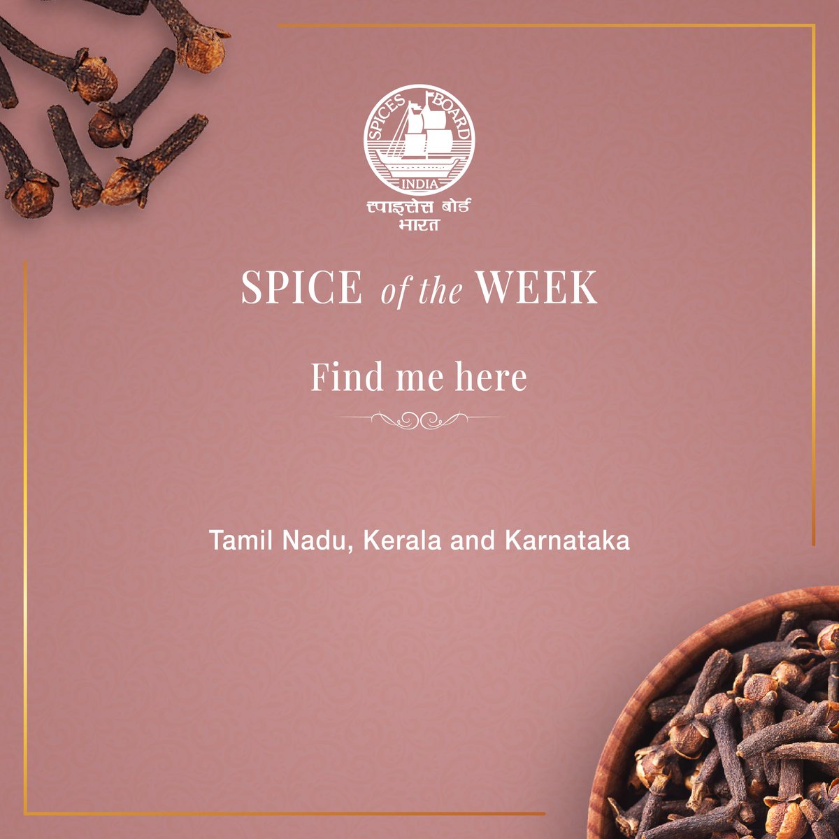Spices_Board's tweet photo. The East India Company introduced Clove in India during the 1800s along the Courtallam high ranges of the erstwhile Travancore.
@DoC_GoI
#spicesofindia #spiceoftheweek #spicesandherbs #spices #cloves #indianspices https://t.co/h0DK6Cpeiy