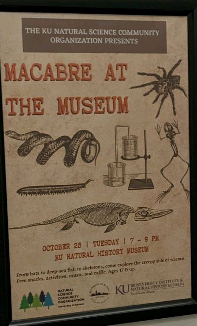 nscoKansas's tweet photo. Looking for something to do next week? KU students are invited to an after hours event at the natural history museum on October 26th from 7-9pm. There will be creepy specimens, themed music, and take home snacks, among other activities. Hope to see you there. https://t.co/djLHgytInk