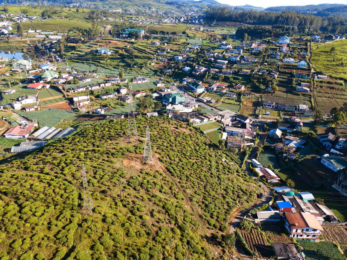 wadwathsala's tweet photo. Nuwara Eliya, Sri Lanka

#lka #SriLanka #visitsrilanka #travelsrilanka #attraction #travelphotography #NaturePhotography #tourism #dji #dronephotography https://t.co/WoNHkAPugc