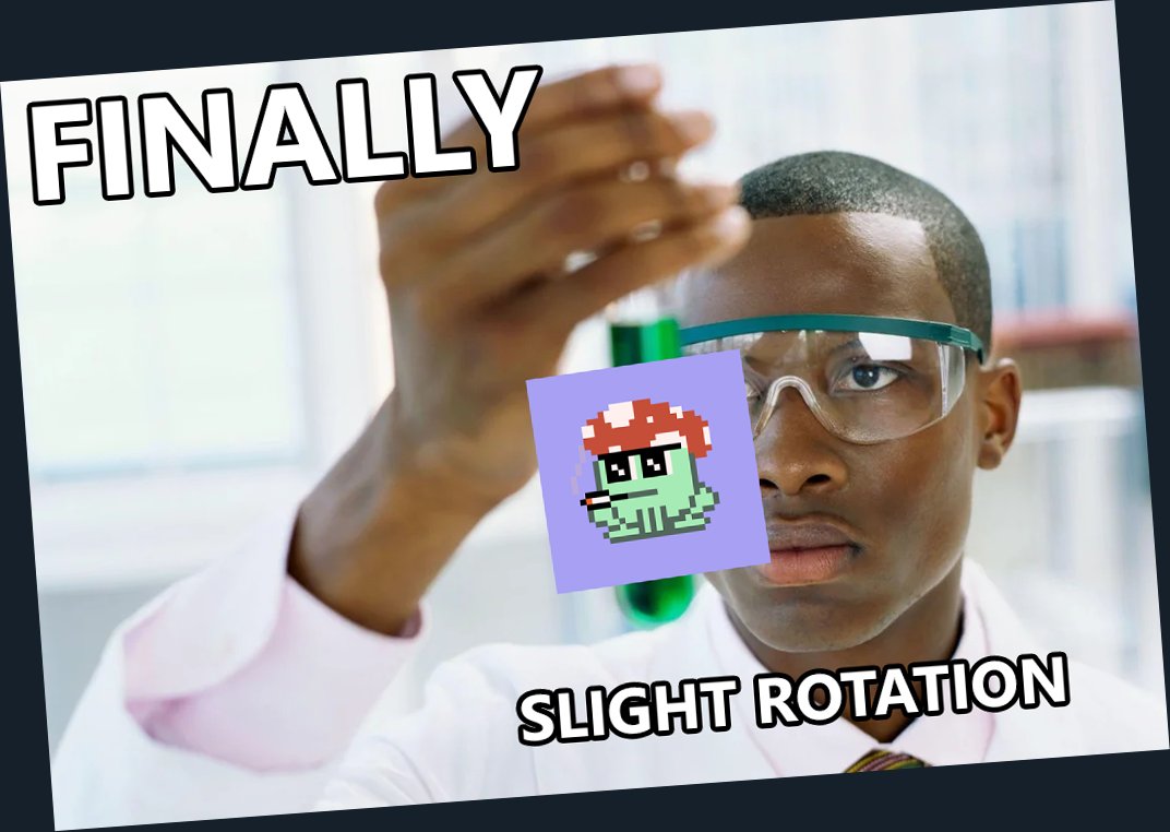 Slightly Rotated Toadz | MINTING LIVE tweet media