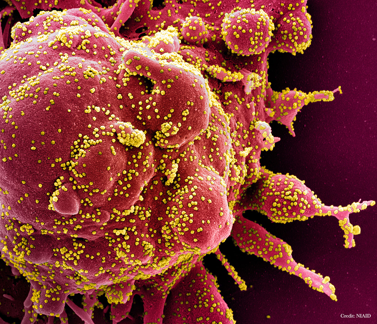Science Magazine tweet media