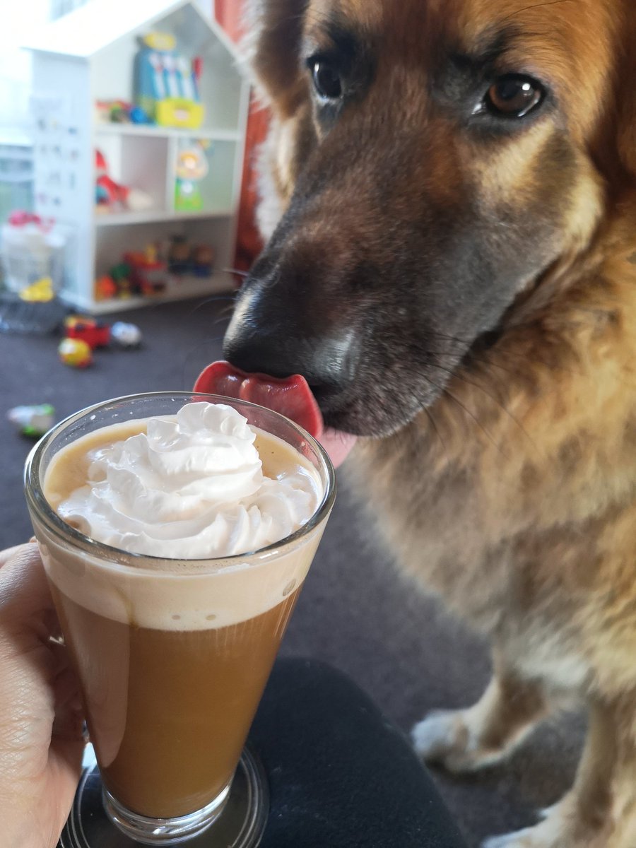 GS-Dodger tweet media