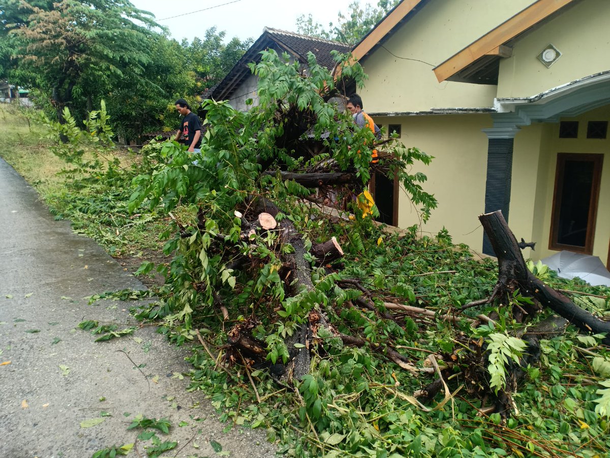 #Pemantauan wilayah pasca hujan deras disertai angin kencang, dari Kantor BPBD - Terminal Bis Giri Adipura.
Senin, 18 Oktober 2021
Kejadian :
- Ranting pohon patah (depan SMPN 1 Wonogiri)
- Pohon talok tumbang (jalan JLK, selatan SDN 1 Krisak)
Sekian. #TerimaKasih