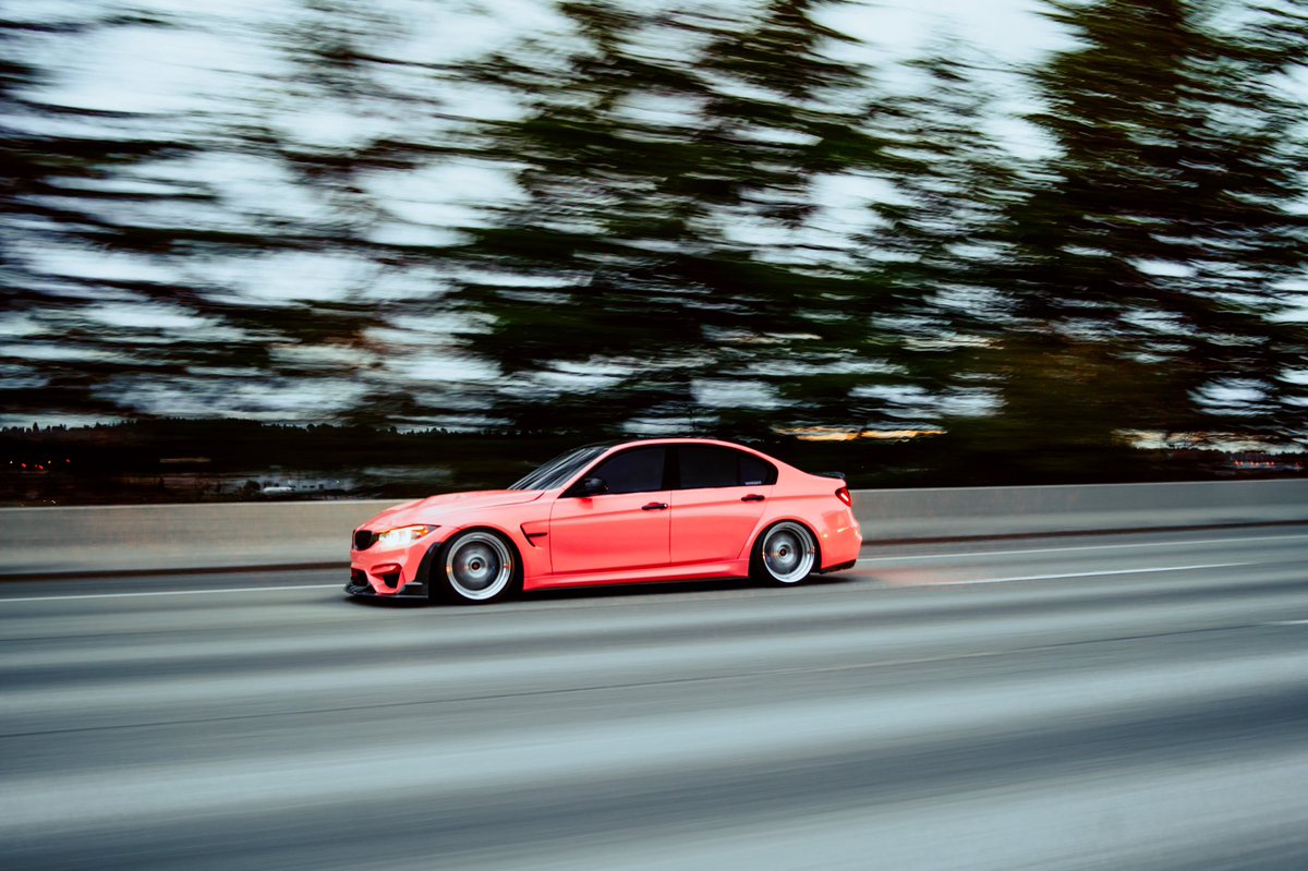 Ste3zymedia's tweet image. #f80m3 shot by me