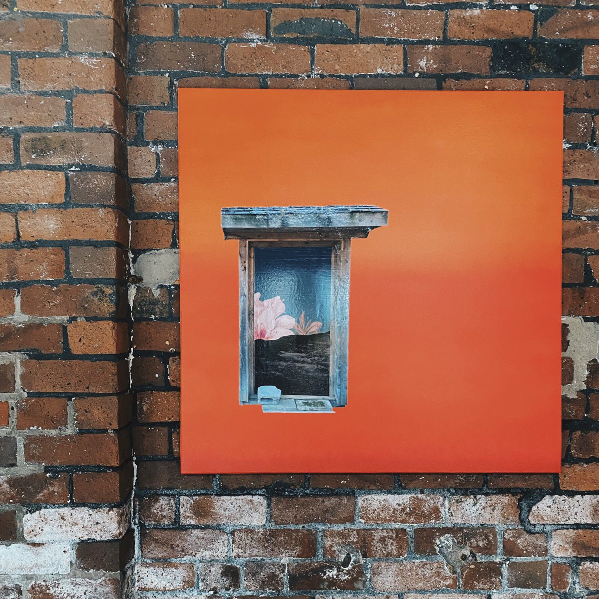 Ed Cosens tweet media