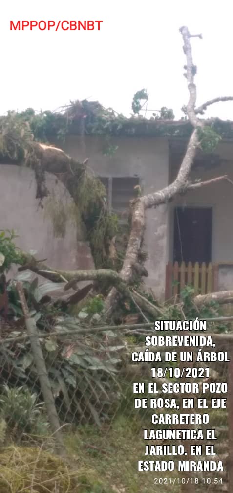 GReynzerRojasO's tweet photo. #EsNoticia 📰 La Gran Misión #BNBT continúa el plan de atención especial al eje carretero Lagunetica - El Jarillo, para atender los derrumbes y limpiezas de cunetas afectados  por las fuertes lluvias

#OlaDeSolidaridadPorÁlexSaab #19Oct @GRaulparedes @Barrio_Tricolor https://t.co/psQgZfhdW9