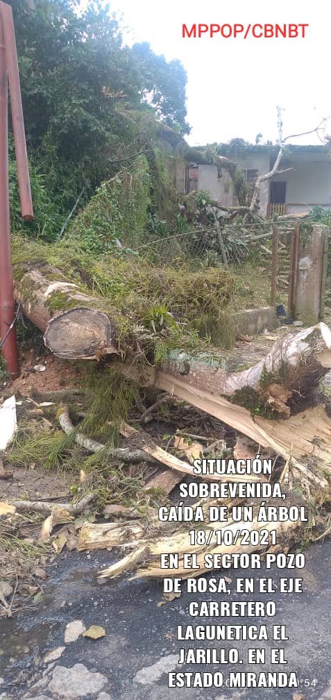 GReynzerRojasO's tweet photo. #EsNoticia 📰 La Gran Misión #BNBT continúa el plan de atención especial al eje carretero Lagunetica - El Jarillo, para atender los derrumbes y limpiezas de cunetas afectados  por las fuertes lluvias

#OlaDeSolidaridadPorÁlexSaab #19Oct @GRaulparedes @Barrio_Tricolor https://t.co/psQgZfhdW9