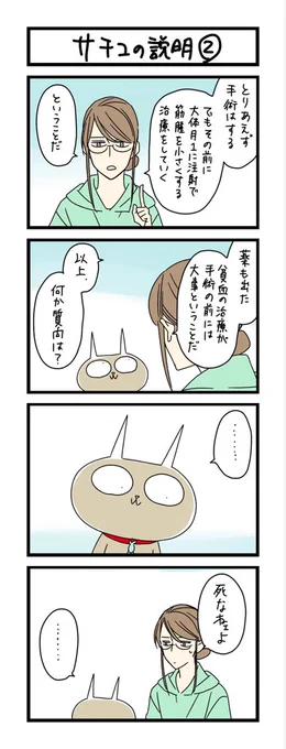 【夜の4コマ部屋】サチコの説明 (2) / サチコと神ねこ様 第1630回 / wako先生 – Pouch[ポーチ] https://t.co/d07YnnPX4F 