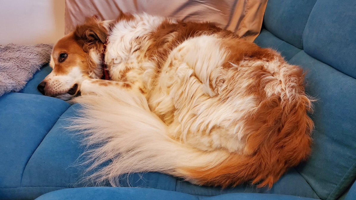 Kate Ingenloff tweet media