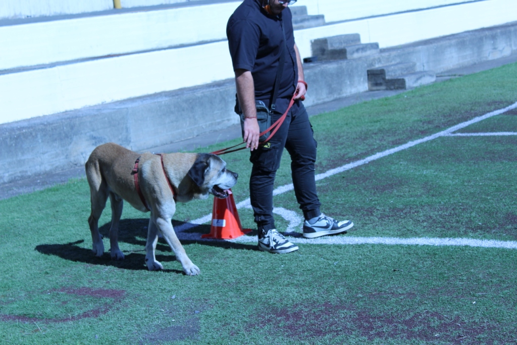 MedicaliveMag's tweet photo. Salute e benessere all’Istituto Minorile di Catania con progetto “#Cani in…”

Leggi la notizia qui: https://t.co/BjjDFYO3HU https://t.co/X2N0CUhxF5