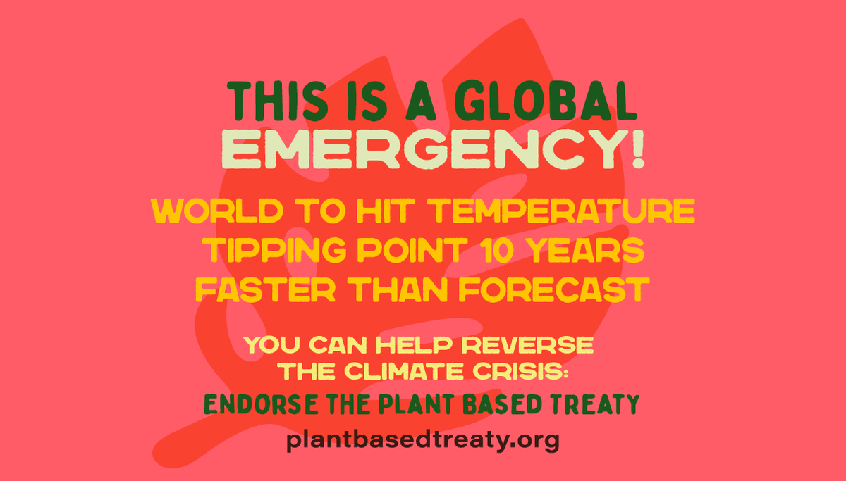 Alex Bourke tweet media