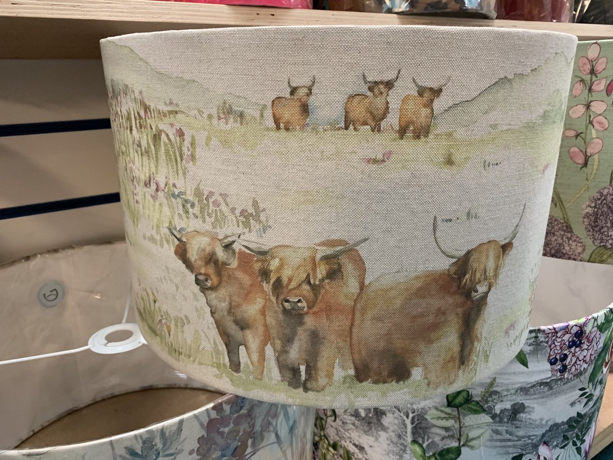 jengupholstery's tweet photo. I was shop sitting last week and kept  myself occupied in the quiet spells making lampshades 💛 all available to purchase from Deeside DIY Supplies💡💡 https://t.co/44is55knfs